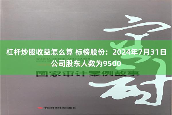 杠杆炒股收益怎么算 标榜股份：2024年7月31日公司股东人数为9500