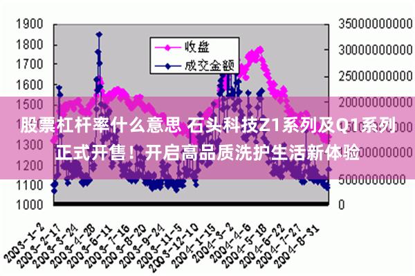 股票杠杆率什么意思 石头科技Z1系列及Q1系列正式开售！开启高品质洗护生活新体验