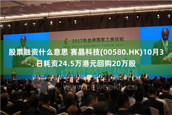 股票融资什么意思 赛晶科技(00580.HK)10月3日耗资24.5万港元回购20万股