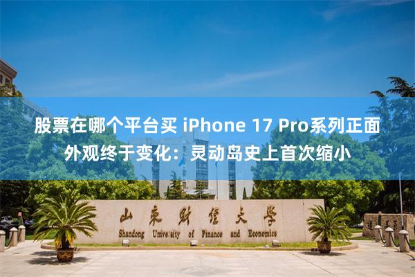 股票在哪个平台买 iPhone 17 Pro系列正面外观终于变化：灵动岛史上首次缩小