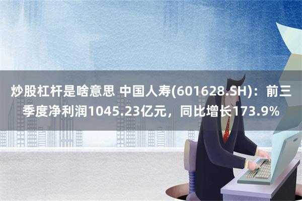 炒股杠杆是啥意思 中国人寿(601628.SH)：前三季度净利润1045.23亿元，同比增长173.9%