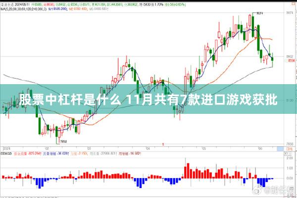 股票中杠杆是什么 11月共有7款进口游戏获批